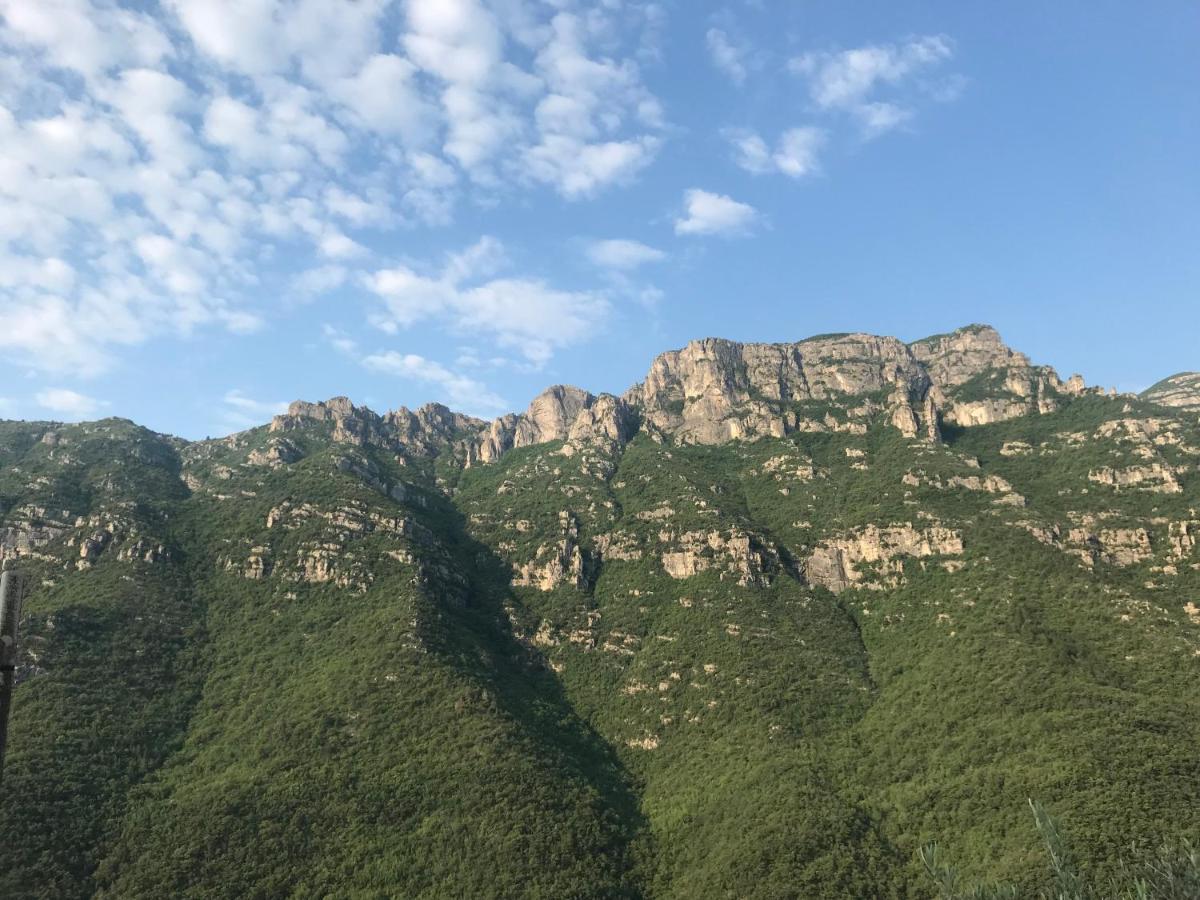Bed and Breakfast Le Ciappe Castelbianco Terra Citr 9020-Beb-0003 Colletta Exterior foto